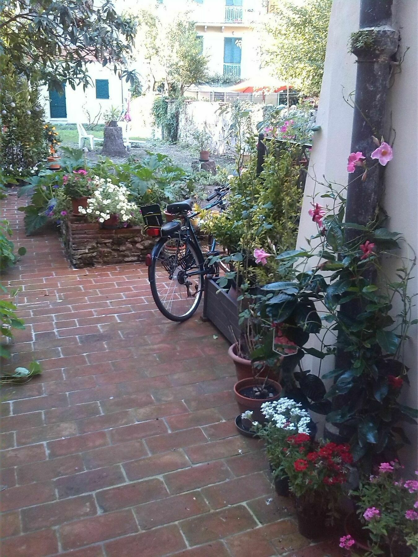 B&B Casa San Jacopo Al Giardino 루카 외부 사진